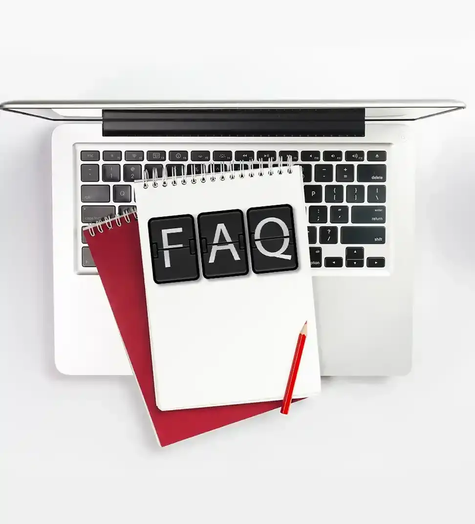 Questions about website development and SEO services